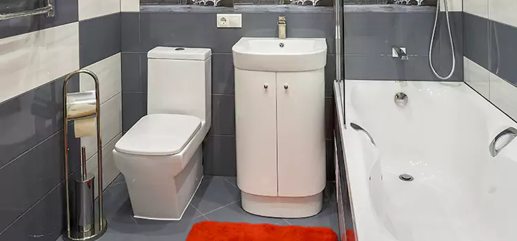 Hansgrohe Shaving Mirror Santa Clara